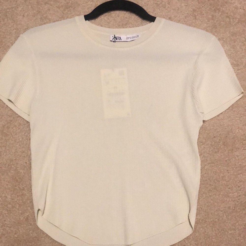 Zara crop top